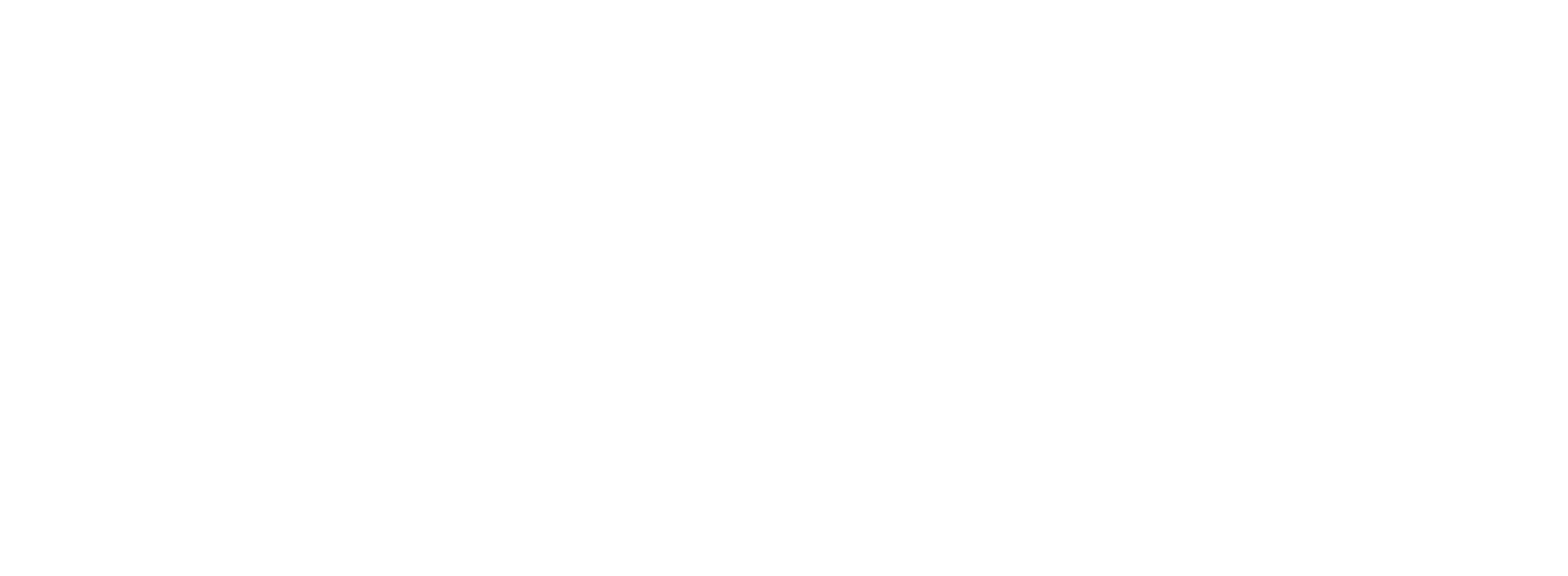 Zan Modern Co.